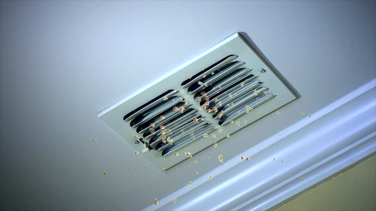 Best Air Duct Cleaning Company Near Me  in Drain, OR